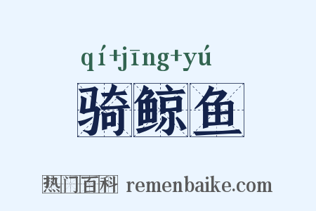 骑鲸鱼是什么意思的图片
